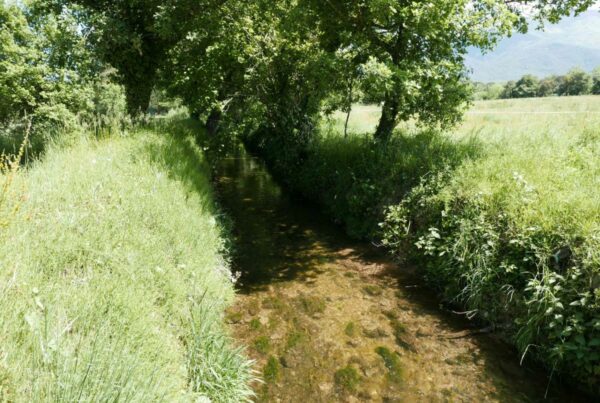 Histoires d&rsquo;eau, de cultures et de pénurie